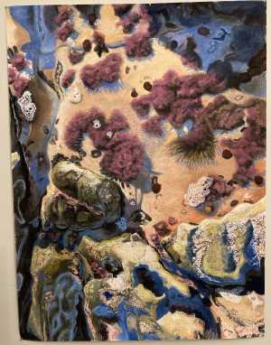 rockpool-schuim
