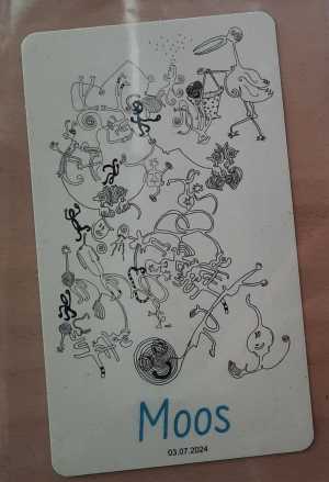 drawing