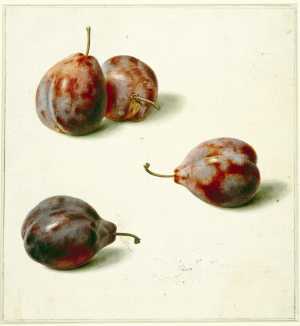 studie-van-vier-blauwe-pruimen