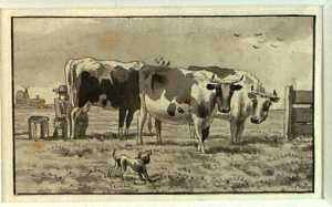 three-cows-standing-in-a-pasture-with-a-milkman-study-from-a-series-of-twelve-sheets
