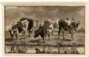 cow-standing-in-a-pasture-near-a-ditch-study-from-a-series-of-twelve-sheets