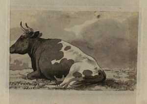 cow-lying-in-a-pasture-study-from-a-series-of-twelve-sheets