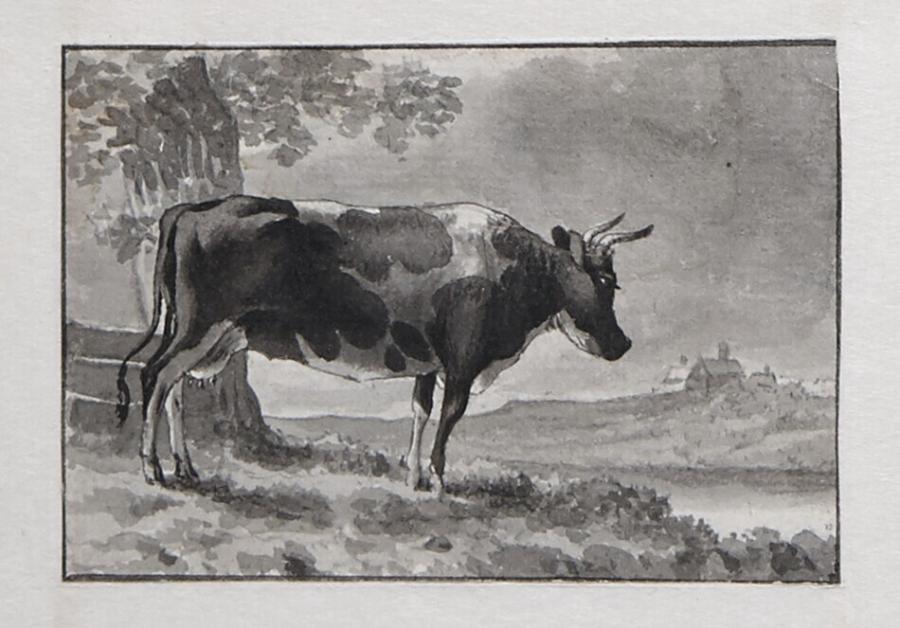 Liggende koe in een weiland bij een boom (uit een serie van twaalf studiebladen)