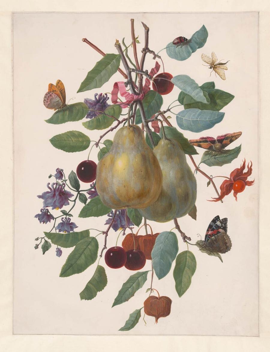 Twig with Two Pears