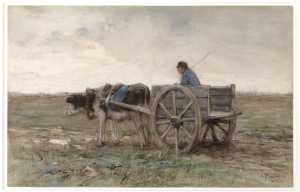ossenwagen
