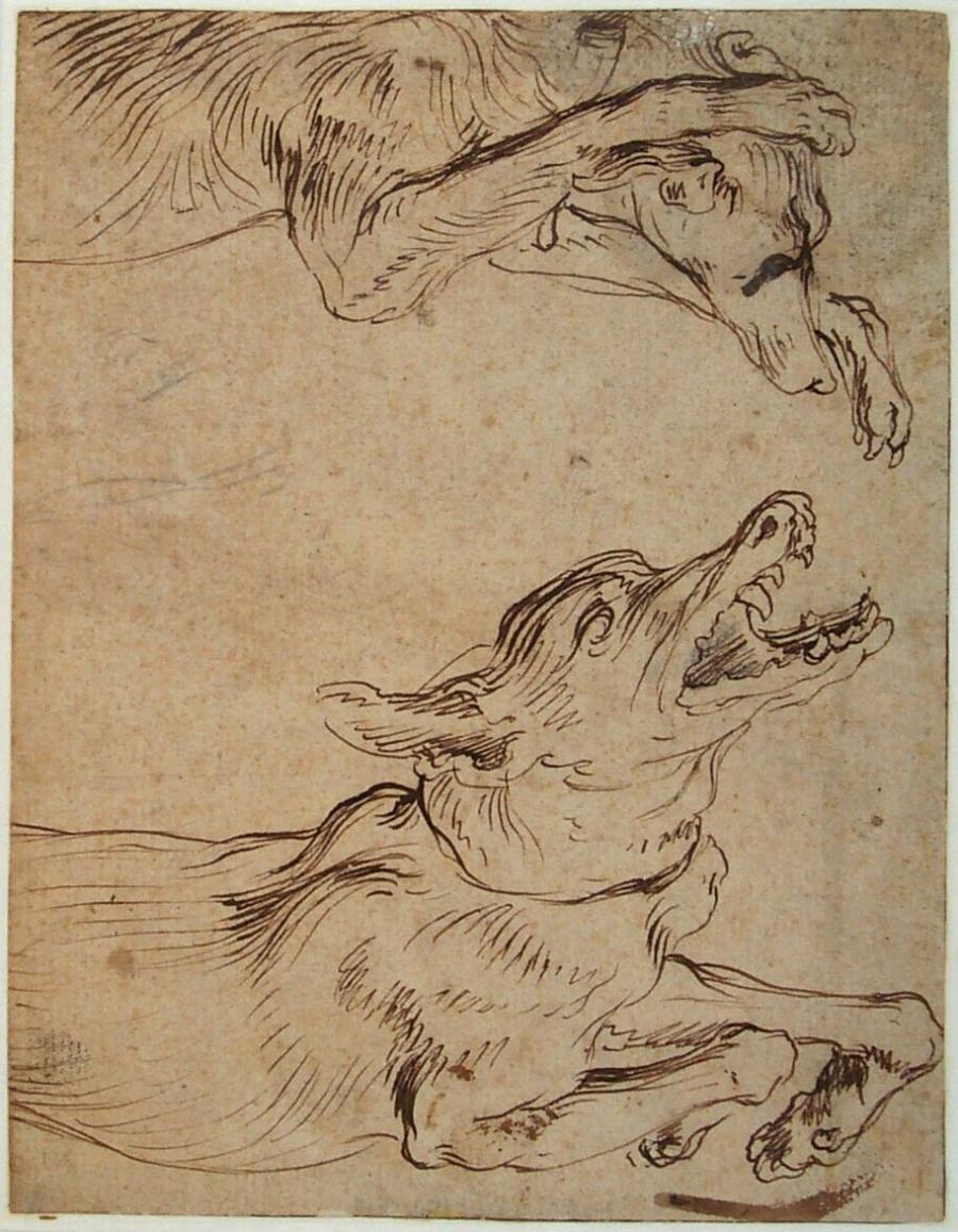 Studies of Two Dogs