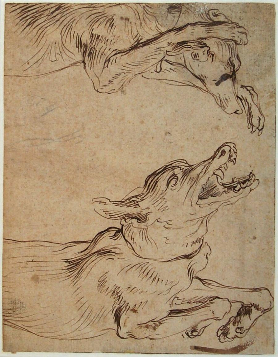 Studieblad met twee honden