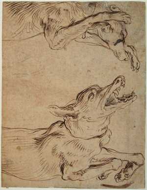 studies-of-two-dogs