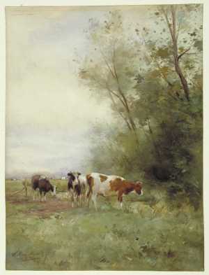 koeien-in-de-weide