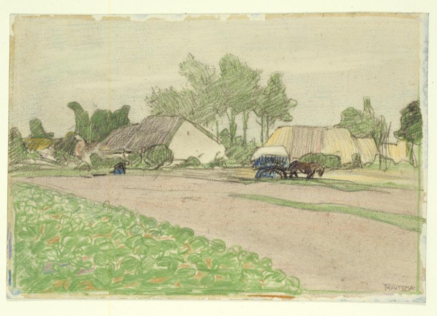 Arable Land with Vegetables near a Farm