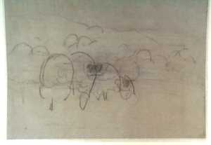 studie-van-schapen