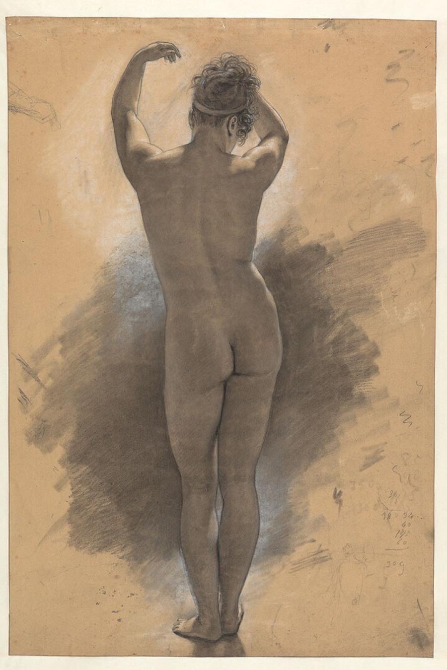 Study of a Standing Female Nude, Seen on the Back