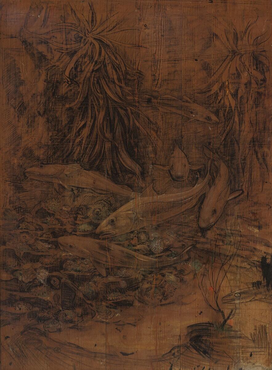 Codfish