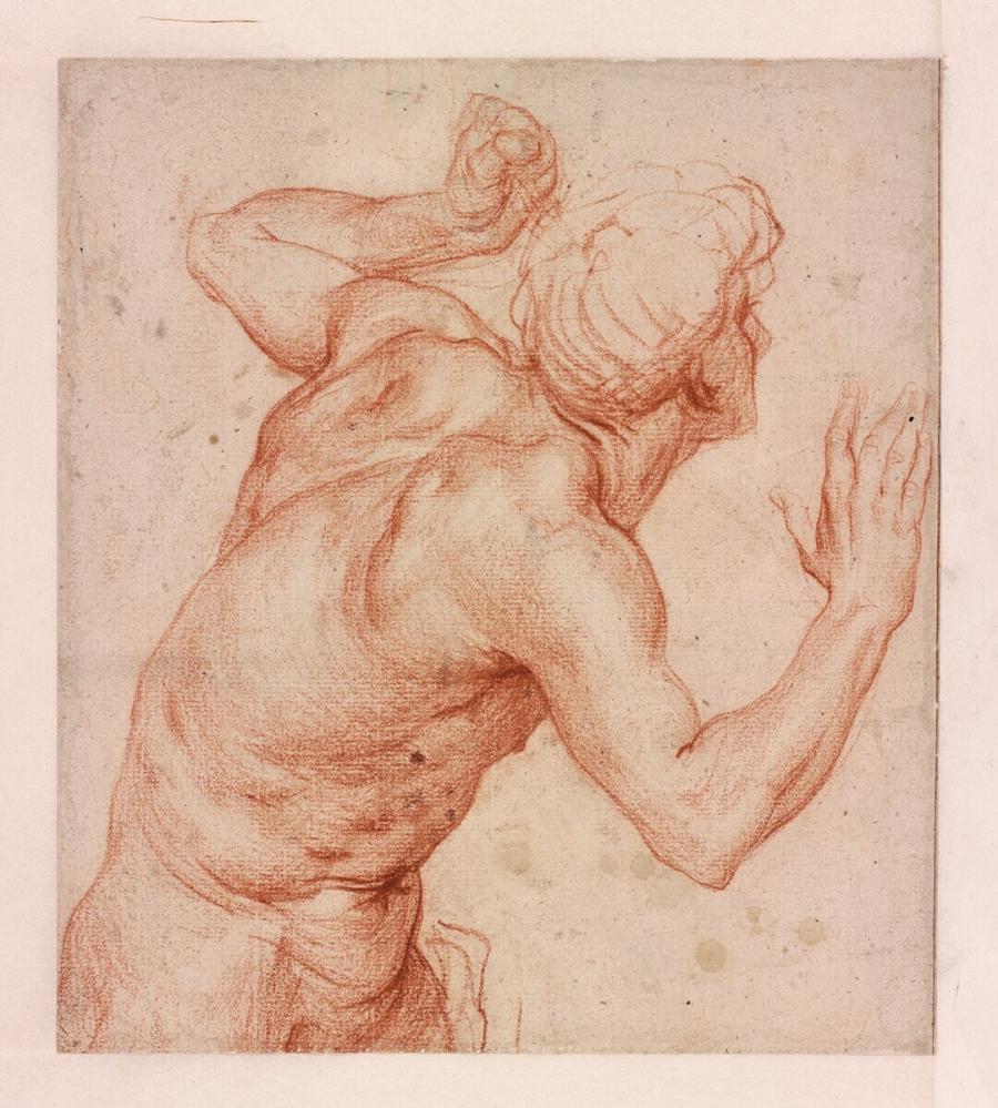 Male Nude Half Figure with Raised Arms, Facing Right