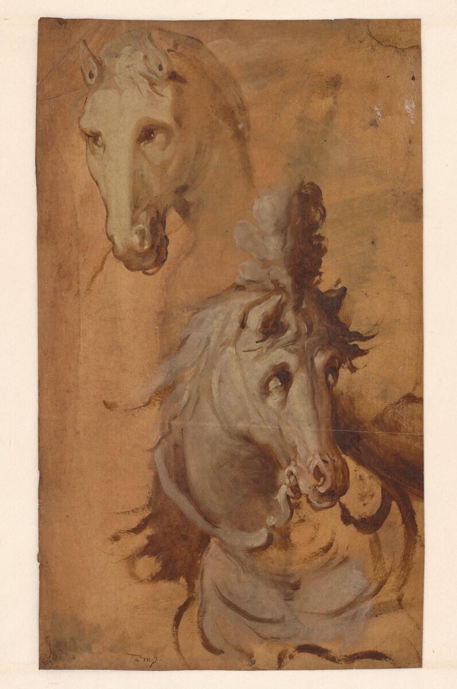 Twee paardenhoofden