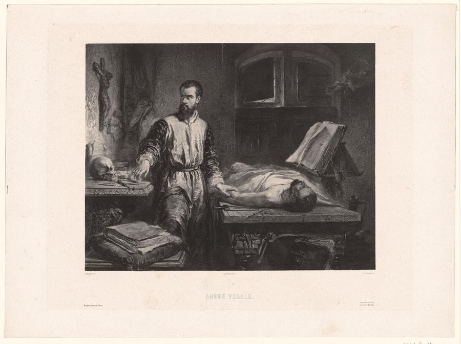 André Vésale