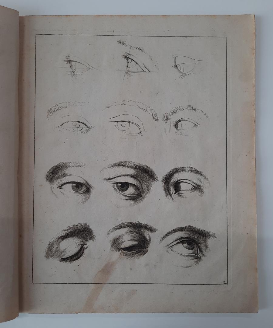 Studies of Eyes