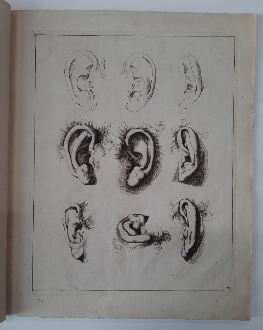 Studies of Ears