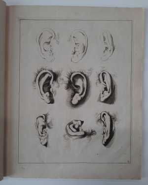 studies-of-ears