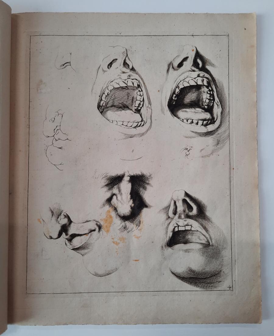 Studies of Mouth and Noses