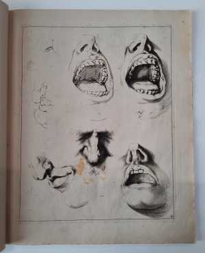 studies-of-mouth-and-noses