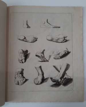 studies-of-feet