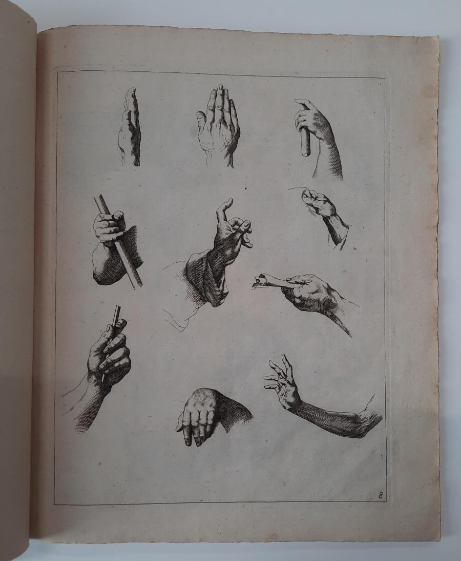 Studies of Hands and Arms
