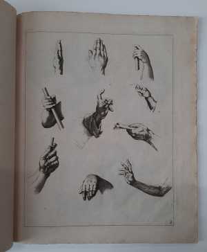 studies-of-hands-and-arms