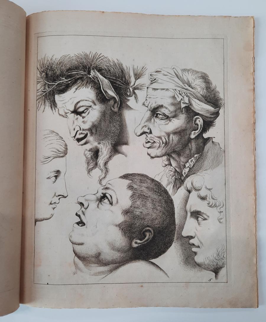 Studies of faces, Tronies