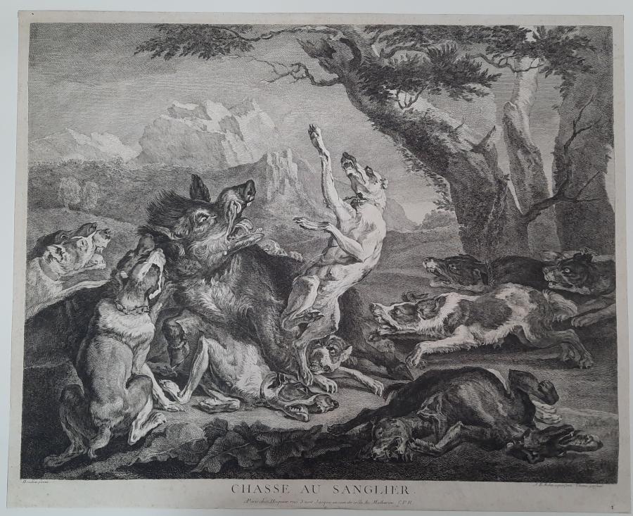 Chasse au sanglier (Everzwijnenjacht)