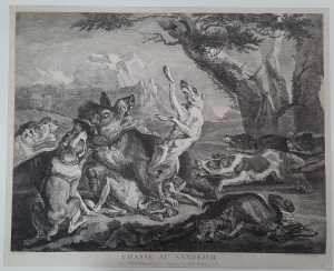 chasse-au-sanglier-everzwijnenjacht