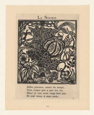 la-souris-de-muis