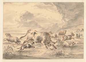 a-bull-runs-through-a-herd-of-sheep-in-a-puddle