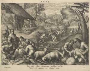 aestas-zomer