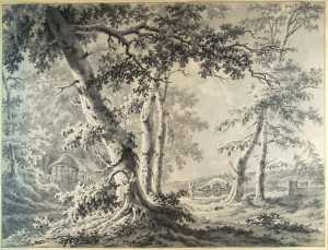 boslandschap