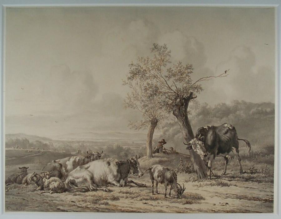 Hilly Landscape with Cows and Sheep
