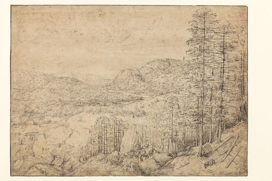 Berglandschap met muildierdrijvers