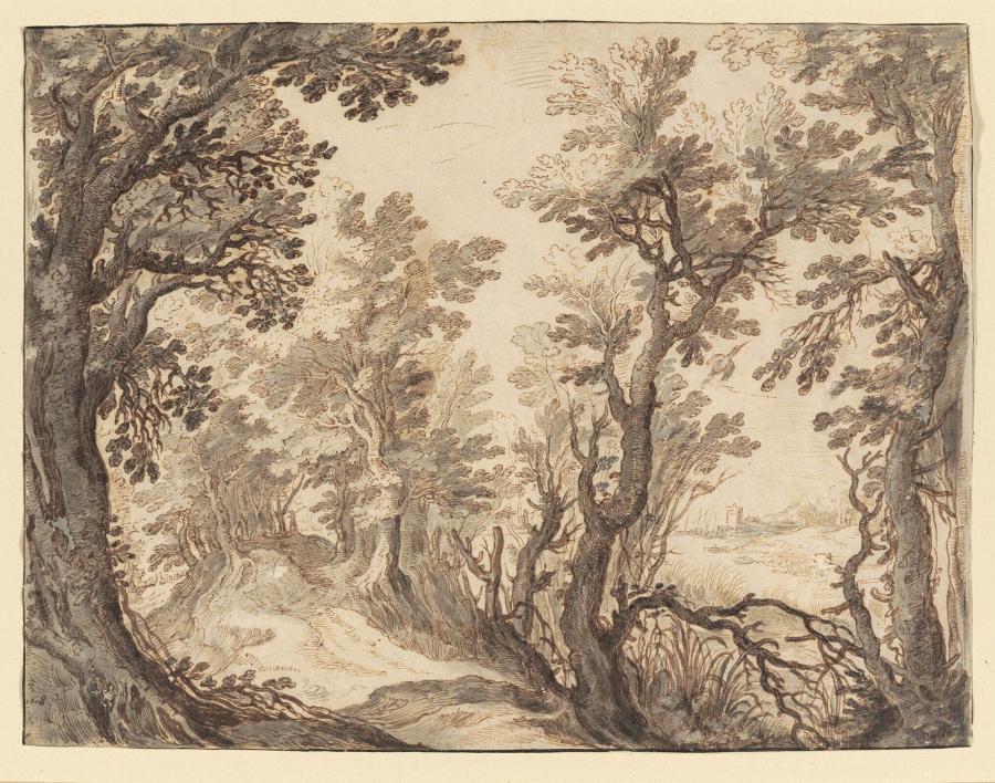 Boslandschap met een rivier
