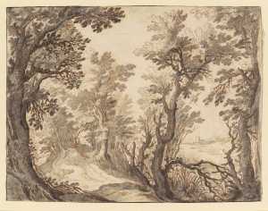 boslandschap-met-een-rivier