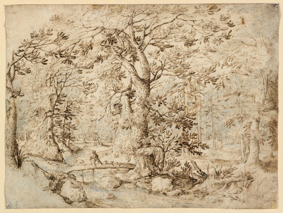 Forest Landscape with a Bridge over a Stream