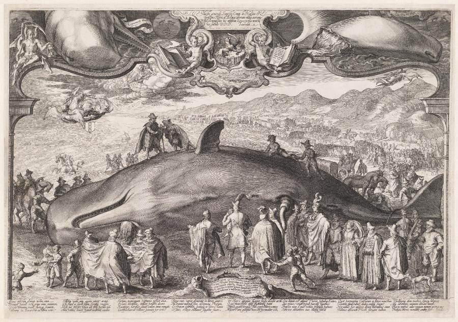 Beached Whale near Beverwijk Witnessed by Prince Ernest of Nassau on 13 January 1601