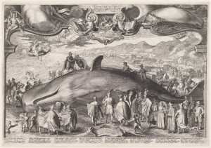 beached-whale-near-beverwijk-witnessed-by-prince-ernest-of-nassau-on-13-january-1601