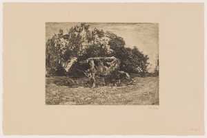 melkende-boer