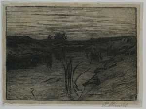 pond-at-night