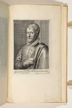 cornile-cort