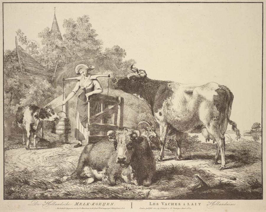 De Hollandsche Melk-Koeijen