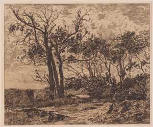 cows-at-a-brook