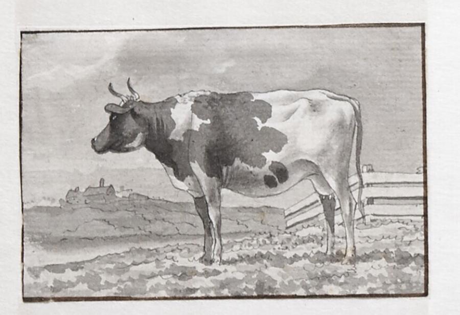 Cow Lying in a Pasture near Water (Study from a Series of Twelve Sheets)