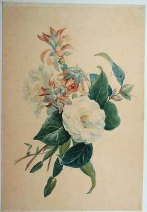 bloemstilleven
