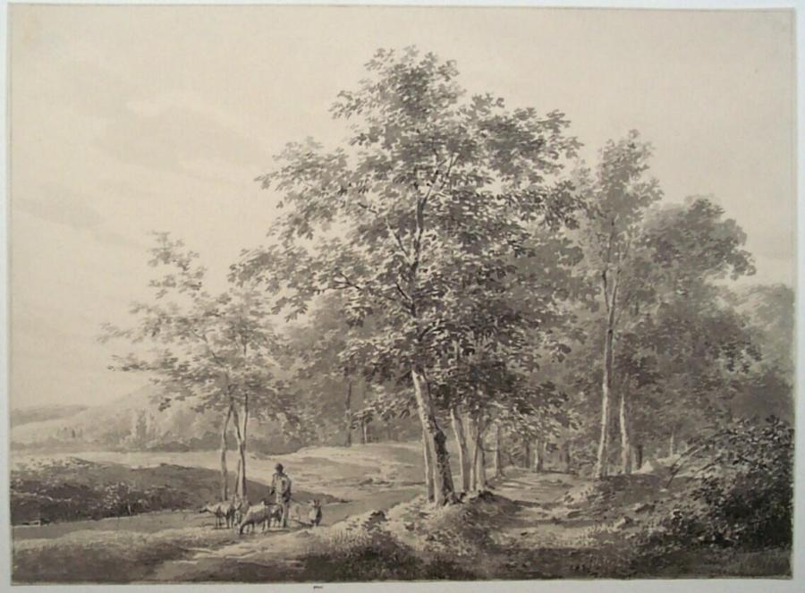 Figure on Forest Path